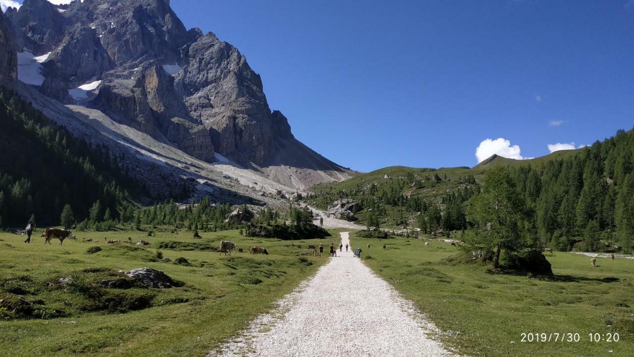 Il Covo Dello Sciatore Daire Falcade Dış mekan fotoğraf