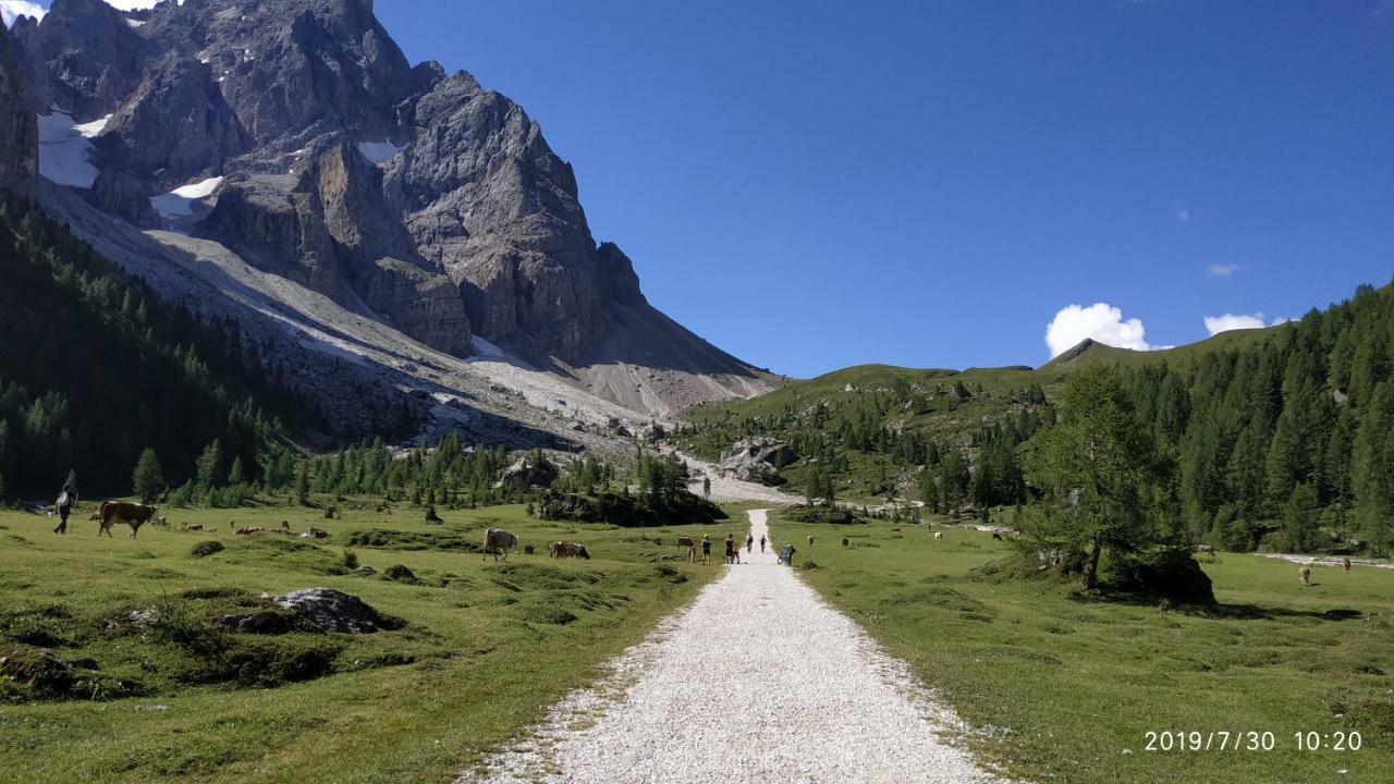 Il Covo Dello Sciatore Falcade Dış mekan fotoğraf